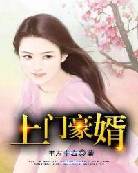 免费阅读小说上门豪婿